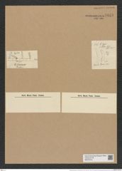 Pseudoeunotia lunaris var. bilunaris (Ehr.) Grun. (de-Toni-Nr.: Genus 105, Species 3241) Zeichnungen Sammlung Grunow Nr. 6643 (NHMW-BOT-W0375419)